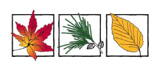 Environmental Design Associates